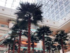 -威斯汀舞台餐厅