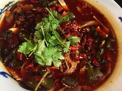 毛血旺-辛香汇(飞洲店)