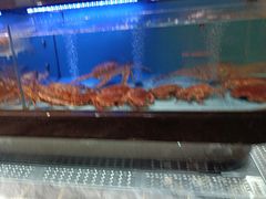 -阿伟海鲜楼·福建菜(延寿店)