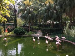 -九龙公园
