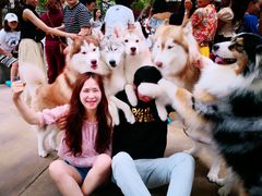 -TrueLove @ Neverland (Husky Cafe)