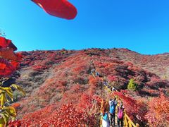 -水峪民俗村