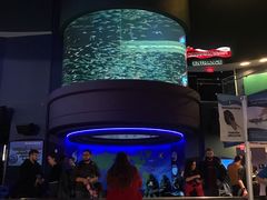 -瑞普利水族馆