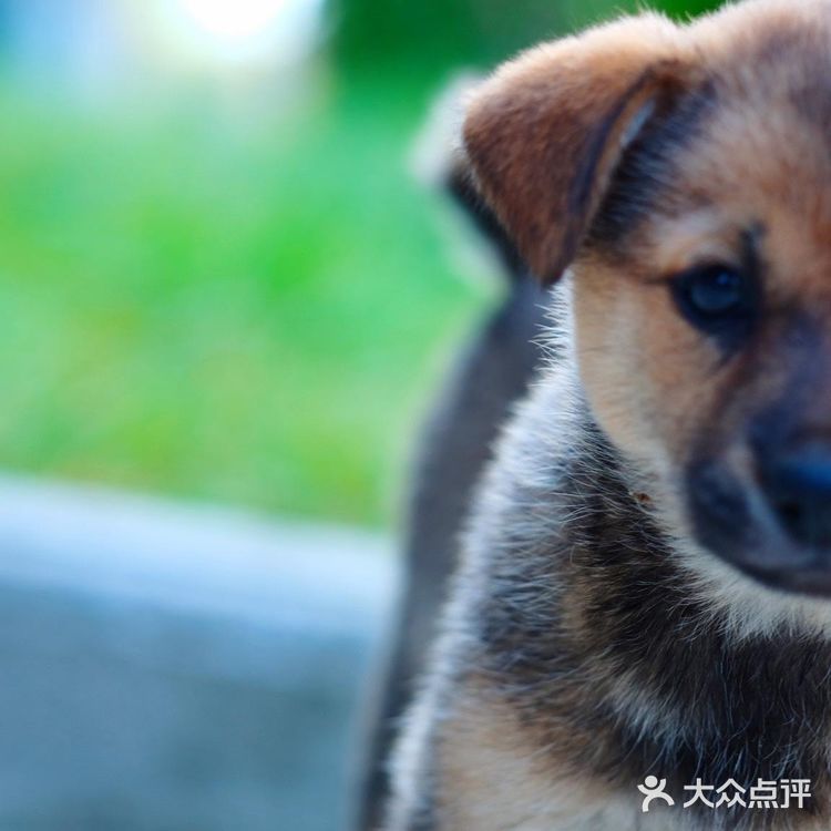 青黄二龙争斗不休 却丰饶了宜兴这地界儿