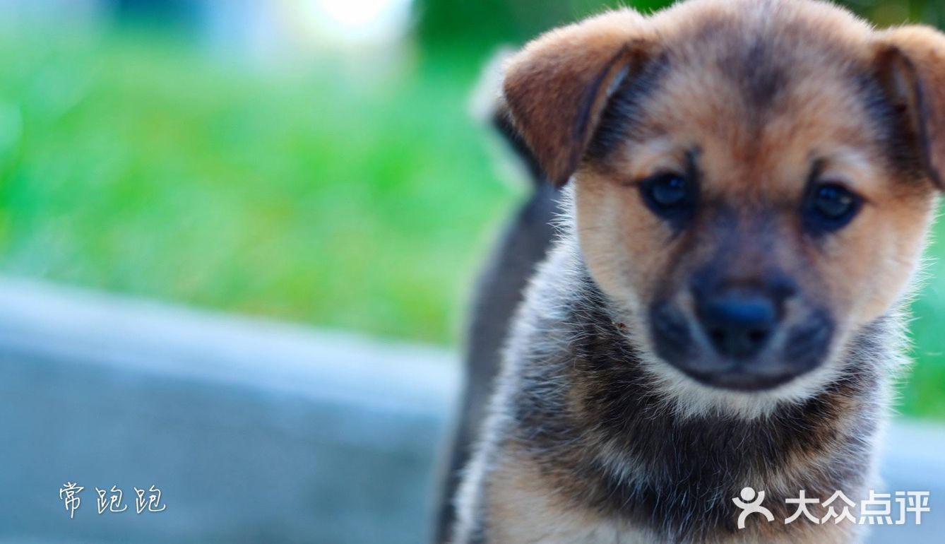 青黄二龙争斗不休 却丰饶了宜兴这地界儿