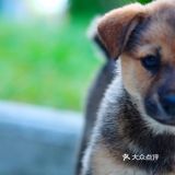 青黄二龙争斗不休 却丰饶了宜兴这地界儿