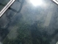 -帽儿山风景区