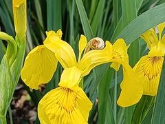 -白水寺森林公园