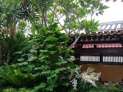 -新加坡佛牙寺龙华院