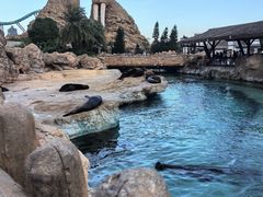 -珠海长隆海洋王国