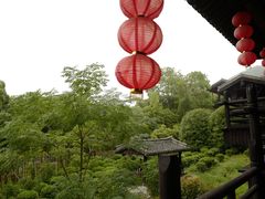 -大唐贡茶院