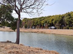 -嘉北郊野公园