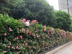 -汉口江滩-五福广场