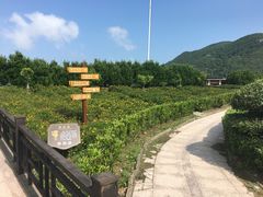 -桃花岛风景旅游区