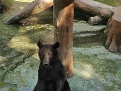 -深圳野生动物园