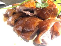 -优之名鹅城