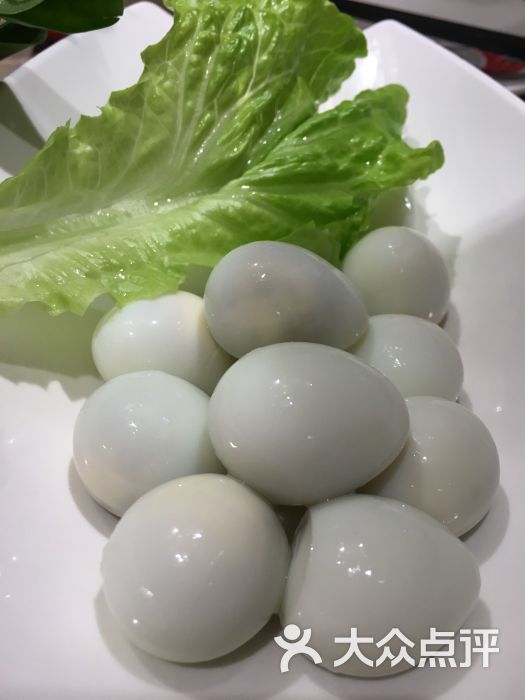 海记牛肉火锅店-鹌鹑蛋图片-上海美食-大众点评网