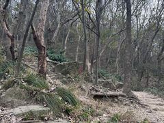 -紫金山山顶公园