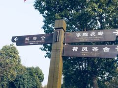 -东台西溪天仙缘景区