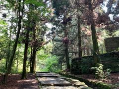 -庐山风景区花径公园