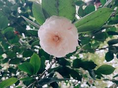 -杭州黄龙洞
