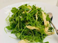 -便宜坊烤鸭店(科创店)