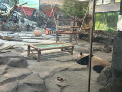 -武汉动物园