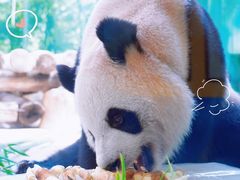 -杭州野生动物世界
