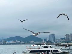 -星海广场