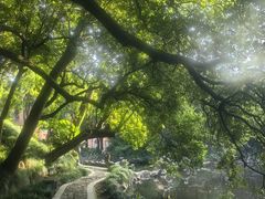 -叶家花园