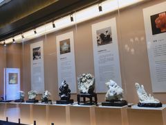 -抱璞文化展示中心