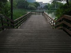 -新江湾城公园