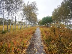 -御道口草原森林风景区
