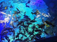 -沈阳海洋探索中心