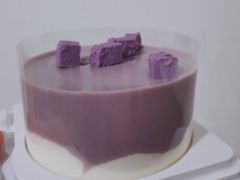 -CAKE BOSS 蛋糕老板(西单君太百货店)