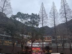 -宁海森林温泉