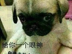 -喜利来蛋糕(景子街店)