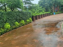 -美的鹭湖探索王国