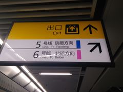 -大龙山(地铁站)