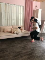 -星宝贝儿童摄影