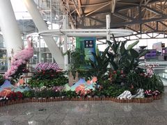 -重庆江北国际机场-T2航站楼
