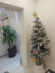 -金都微美·精准护肤·疗愈SPA