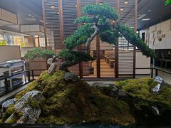 -高玛纳驴肉火烧(河间总店)