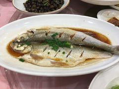 清蒸鲜白鱼-西新饭店(城中店)