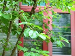 -颐和路民国时期公馆风貌区