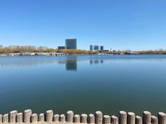 -大兴滨河森林公园