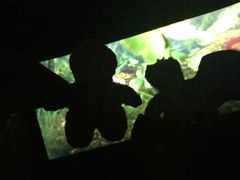 -麦当劳(芜湖中山南路店)