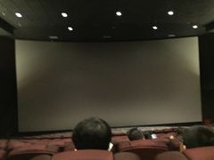 -SFC上影影城(港汇永华IMAX激光店)