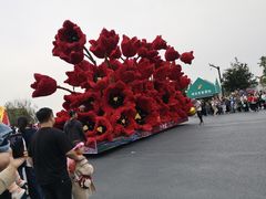-荷兰花海