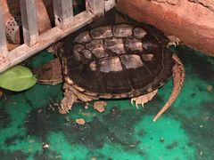 -欢乐海岸海洋奇梦馆